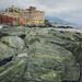 , , , Italy, Genova, , Boccadasse