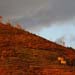 -, , , Italy, Cinque Terre, , Riomaggiore